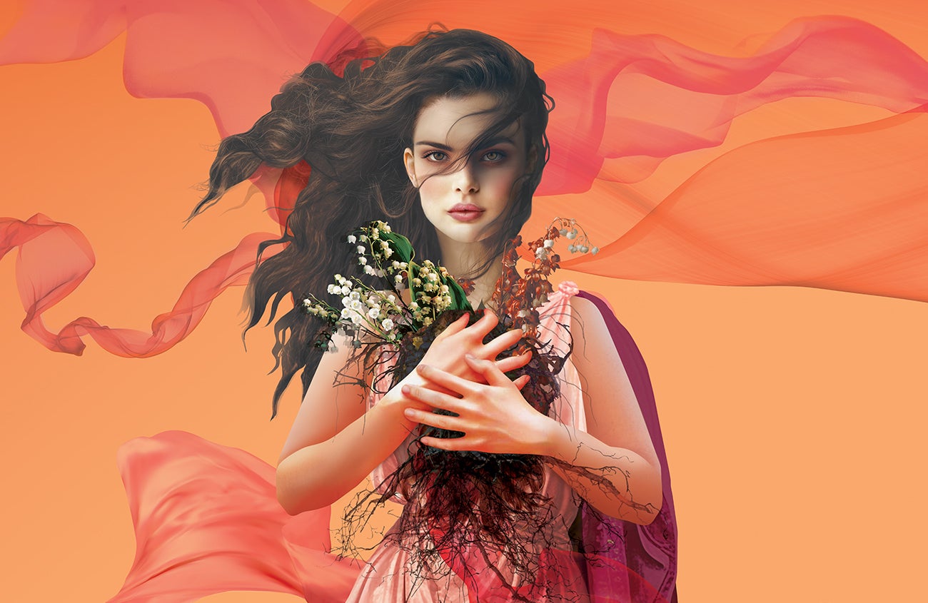 More Info for Salome